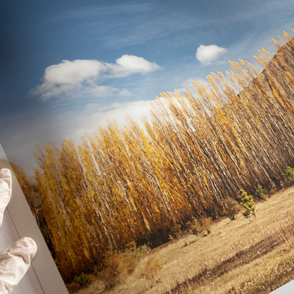 cecilia_artero_fineart_home_01 Cacilia Artero FinArt